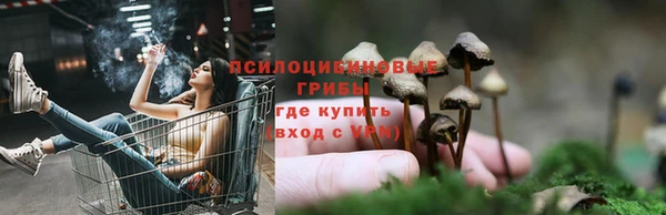 круглые Богородицк