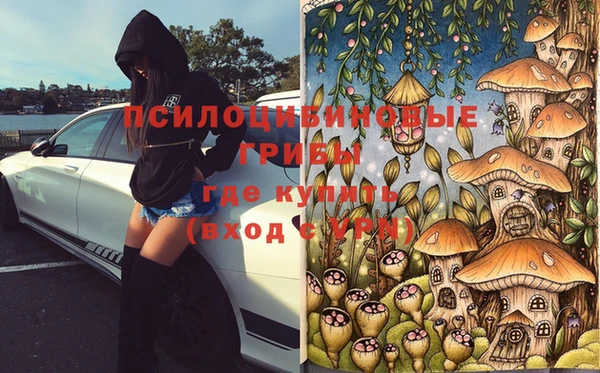 дурь Богородск