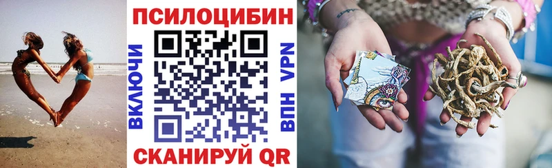 закладка Коммунар Псилоцибиновые грибы GOLDEN TEACHER